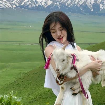 胖小子统治世界