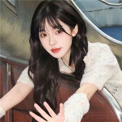 一个妨碍了希特勒的人